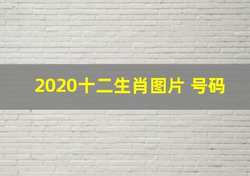 2020十二生肖图片 号码